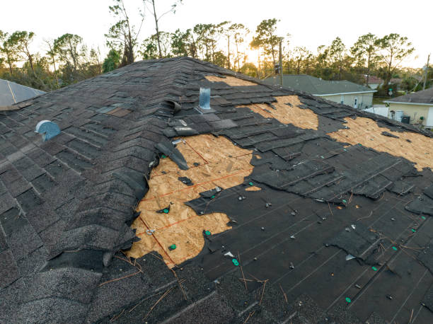 Best Roof Maintenance and Cleaning  in Myrtle Creek, OR